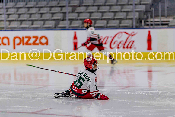 Hockey (143 of 353)