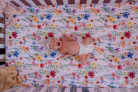 Miranda (17 of 113)